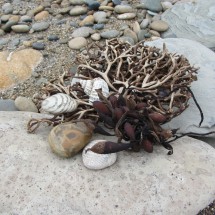 Beautiful stones on the beach